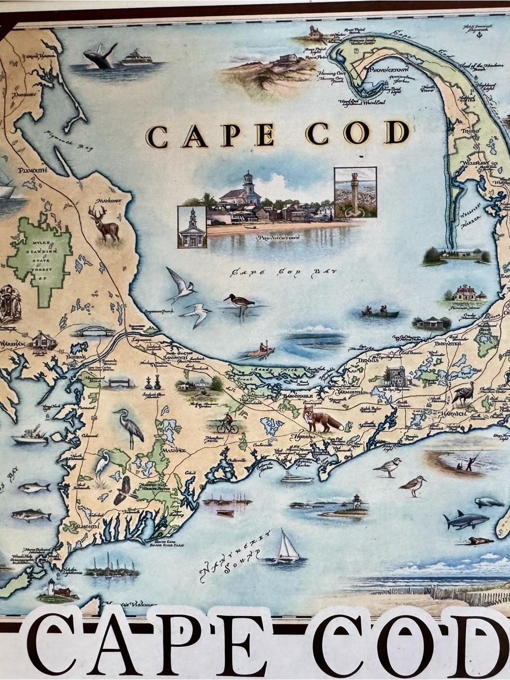 Cape Cod Puzzle, Like New Cape Cod Puzzle, Xplorer Cape Cod Map Puzzle